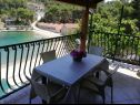 Appartements Primo - sea view: A1(2+1), A2(4), A3(4), A4(3+1) Baie Banje (Rogac) - Île de Solta  - Croatie  - Appartement - A3(4): vue de la terrasse