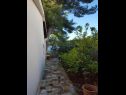 Maisons de vacances More - sea view: H(2) Maslinica - Île de Solta  - Croatie  - jardin