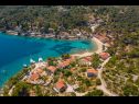 Maisons de vacances Villa Ante - with pool: H(6) Rogac - Île de Solta  - Croatie  - végétation (maison et environs)