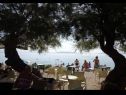 Appartements Damir - with garden: A1(6) Kastel Stafilic - Riviera de Split  - plage
