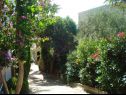 Appartements Marija - 120 m from the beach : A1(4+1), SA3(2) Podstrana - Riviera de Split  - jardin