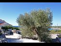 Maisons de vacances Željko - sea view H(4+2) Drvenik Mali (Île de Drvenik Mali) - Riviera de Trogir  - Croatie  - détail (maison et environs)