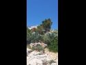 Appartements Natad - sea view : A1(4) Vinisce - Riviera de Trogir  - maison