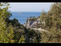 Maisons de vacances Villa Vinko - with four rooms: H(8) Baie Voluja (Vinisce) - Riviera de Trogir  - Croatie  - végétation (maison et environs)