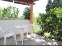 Appartements Kuce - 150m from the beach with parking: SA1(2), SA2(2) Susica - Île de Ugljan  - Studio appartement - SA1(2): terrasse couverte