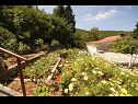 Maisons de vacances Paulo1 - peacefull and charming H(2+1) Baie Rogacic (Vis) - Île de Vis  - Croatie  - jardin (maison et environs)
