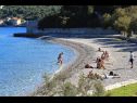 Maisons de vacances Paulo1 - peacefull and charming H(2+1) Baie Rogacic (Vis) - Île de Vis  - Croatie  - plage