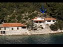 Maisons de vacances Vinkli - amazing sea view H(8) Baie Stoncica (Vis) - Île de Vis  - Croatie  - maison