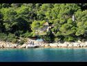 Maisons de vacances Dob - 5m from the sea: H(4) Baie Stoncica (Vis) - Île de Vis  - Croatie  - maison