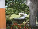 Appartements Zvone - 100 m from sea: A1(4+1), A2(4+1) Bibinje - Riviera de Zadar  - terrasse de jardin (maison et environs)