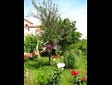 Appartements Nika - nice garden: A1(2), A2(4+1), A3(6), A4(2) Nin - Riviera de Zadar  - jardin (maison et environs)
