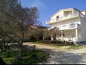 Appartements Luce - with parking : A3(4+1), A4(5), A5(4) Nin - Riviera de Zadar  - maison