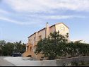 Appartements Ivan - 300 m from sea: A3(2), A4(2), SA5(2), A6(2) Nin - Riviera de Zadar  - maison