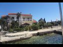 Appartements Andri - 5 m from the beach : A1(4), A2-donji(2+2) Petrcane - Riviera de Zadar  - maison