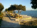 Appartements Mis - apartments close to sea: A1(4), A2(4) Petrcane - Riviera de Zadar  - plage