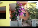 Appartements Midi - with two apartments: A1(3), A2(3) Petrcane - Riviera de Zadar  - maison