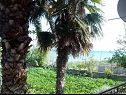Appartements Teo - 8m from the sea & parking: A1 žuti(4), A2 bijeli(4), A3 novi(4) Privlaka - Riviera de Zadar  - 