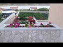 Appartements Adriatic - with beautiful garden: A1(2), A2(2), A3(2+2) Rtina - Riviera de Zadar  - plate-bande
