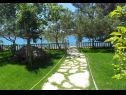 Appartements Ivan Z - 10 m from sea: A3(2), A4(2) Seline - Riviera de Zadar  - jardin