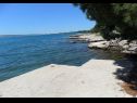 Appartements Ivan Z - 10 m from sea: A3(2), A4(2) Seline - Riviera de Zadar  - plage