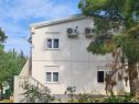 Appartements Dream - nearby the sea: A1-small(2), A2-midldle(2), A3-large(4+1) Seline - Riviera de Zadar  - maison