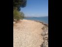 Appartements et chambres Voyasi - 60 m from sea: A1(2), A2(2), A4(2), A6(2), A7(4), R5(2) Starigrad-Paklenica - Riviera de Zadar  - plage