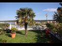 Appartements Let - 5 m from sea : A1(4), A4(4) Sukosan - Riviera de Zadar  - jardin