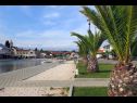 Appartements Let - 5 m from sea : A1(4), A4(4) Sukosan - Riviera de Zadar  - détail