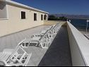 Appartements Stjepan- 10 m from beach A1 prizemlje desno(2+2), A2 prizemlje lijevo(2+2), A3 1.kat lijevo(2+2) Vir - Riviera de Zadar  - terrasse commune (maison et environs)