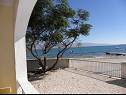 Appartements Stjepan- 10 m from beach A1 prizemlje desno(2+2), A2 prizemlje lijevo(2+2), A3 1.kat lijevo(2+2) Vir - Riviera de Zadar  - Appartement - A1 prizemlje desno(2+2): vue sur la mer