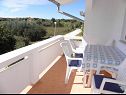Appartements VINK - 80 m from beach A2(4), A3(4), A4(4) Vir - Riviera de Zadar  - Appartement - A2(4): terrasse couverte