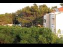 Appartements VINK - 80 m from beach A2(4), A3(4), A4(4) Vir - Riviera de Zadar  - Appartement - A4(4): vue (maison et environs)