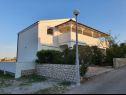 Appartements Rising Sun A1(2+2), A2(2+2), A3(2+2) Vir - Riviera de Zadar  - maison