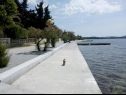 Appartements Franka - 70 m from sea: A1(6) Zadar - Riviera de Zadar  - détail