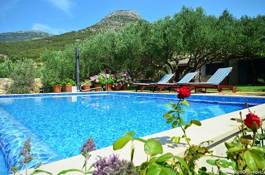 Maisons de vacances Vojo - private swimming pool: H(4) Bol - Île de Brac  - Croatie 
