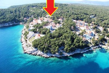 Appartements Deni - 70m from beach: A1(4+1) Baie Osibova (Milna) - Île de Brac  - Croatie 