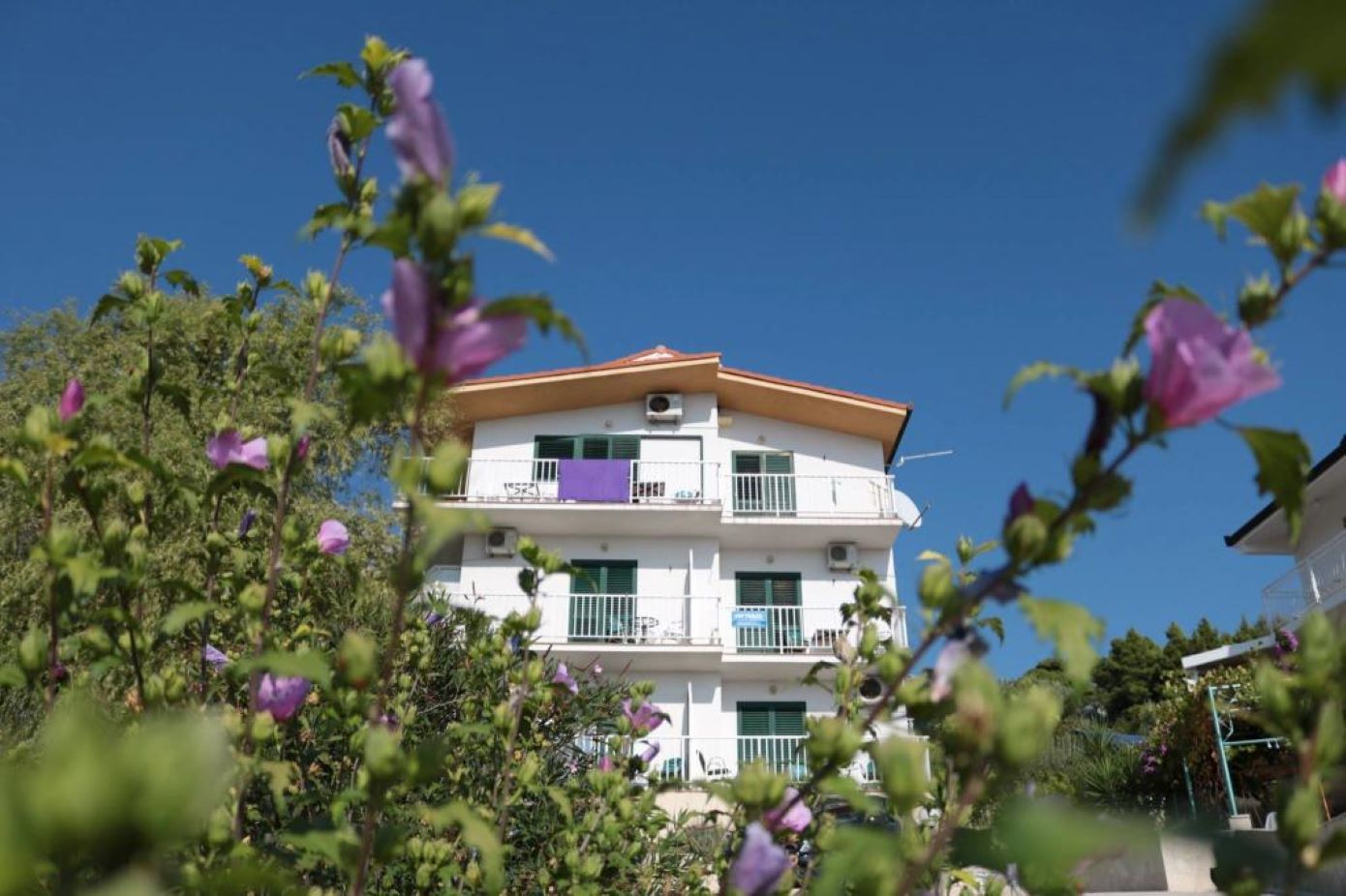 Appartements Gloria - 5 min to the beach : SA1(3+1), SA2(3), SA3(3), SA4(4), SA5(3), SA6(3), SA7(2), A8(6+4) Gradac - Riviera de Makarska 