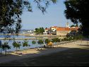 Appartements Renato - 150 m from beach: A1(2+2), A2(2+2) Sveti Filip i Jakov - Riviera de Biograd  - plage