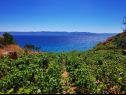 Maisons de vacances Smokovlje - sea view and vineyard H(4) Bol - Île de Brac  - Croatie  - vue (maison et environs)