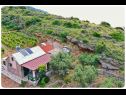 Maisons de vacances Smokovlje - sea view and vineyard H(4) Bol - Île de Brac  - Croatie  - détail (maison et environs)