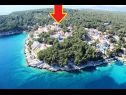Appartements Deni - 70m from beach: A1(4+1) Baie Osibova (Milna) - Île de Brac  - Croatie  - maison