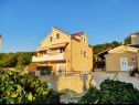 Appartements Ivano - 20 m from Sea: A1(6), A2(2+1), A3(2+1), A4(2), A5(2) Baie Osibova (Milna) - Île de Brac  - Croatie  - maison