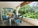 Maisons de vacances Zlatna - with beautiful garden: H(6+1) Selca - Île de Brac  - Croatie  - H(6+1): terrasse