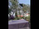 Maisons de vacances Olive - 150 m from sea: H(4) Splitska - Île de Brac  - Croatie  - vue de la terrasse