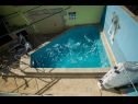 Maisons de vacances Jaka 2 - with pool : H(6+2) Sumartin - Île de Brac  - Croatie  - piscine
