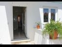 Appartements Adel - 70 m from beach: A1(4), A2(3+2), SA3(2), A4(4+2) Supetar - Île de Brac  - Appartement - A4(4+2): appartement