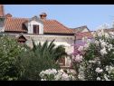 Maisons de vacances Davor - relaxing and great location house : H(7+2) Sutivan - Île de Brac  - Croatie  - maison