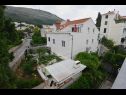 Appartements et chambres Andri - 100m from sea: A1 Andrea(2+2), A2 Nika(2) Dubrovnik - Riviera de Dubrovnik  - maison