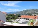 Appartements Ana - cosy with sea view : A4(3+2), A5(3+2) Dubrovnik - Riviera de Dubrovnik  - vue (maison et environs)
