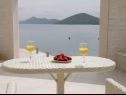 Appartements At the sea - 5 M from the beach : A1(2+3), A2(2+2), A3(8+2), A4(2+2), A5(2+2), A6(4+1) Klek - Riviera de Dubrovnik  - Appartement - A2(2+2): terrasse